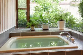 In a botanical space, pls have a relaxing time. - Image 3