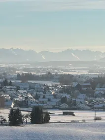 ELMIRA - Image 2
