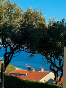 Bosphorus View Beachfront Villa - Image 3