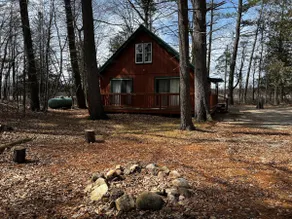 Cozy Cabin in the woods - Image 2