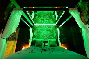 The Enchanted Forest Love Room with Jacuzzi Theme - Image 3
