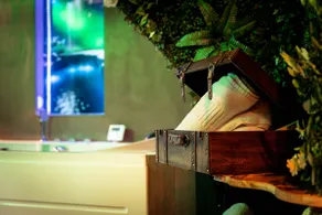 The Enchanted Forest Love Room with Jacuzzi Theme - Image 4