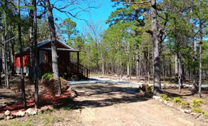 Little red cabin in the peaceful forest - Image 2