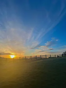 Sunrise View - Breakfast & PrivateTours available - Image 3