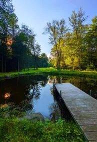 Modern Farmhouse & Pond | 7-Acre Catskill Forest - Image 5