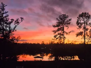 Lakeview Cabin 1 Farm of Dreams Resort Brooksville - Image 2