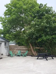 Hogan's Cottage - Image 4