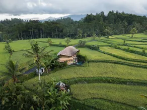 Luxury Sawah Bamboo House - Kosay Bali - Image 2