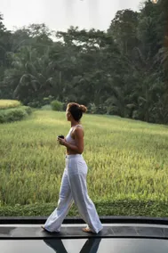 Luxury Sawah Bamboo House - Kosay Bali - Image 4