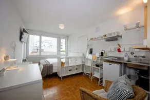 Zürich City Apartment mit Sauna, Whirlpool 4102 - Image 5