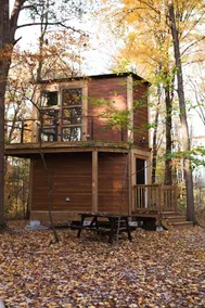 Cabin Diamond – Cozy Tiny Forest Retreat - Image 5
