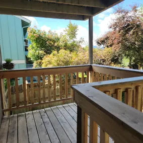 BIG HOT TUB! views, nice neighborhood, near Autzen - Image 3