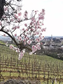 la parenthèse - Image 2