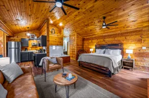 Mountain-Modern Cabin with BIG Jet Tub - Image 2