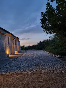 Casa Virgilio among the centuries olive trees - Image 5