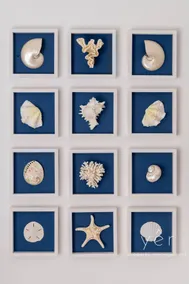 Shell-Charm w/Sea View & Parking - Image 3
