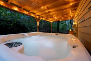 Lake View! HotTub, FirePit, King beds, Lake access - Image 2