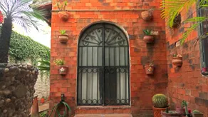 Art house. House, plants and art. - Image 5