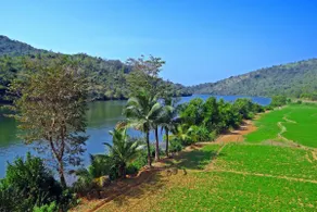 Serene Village Stay, Gokarna - Image 5