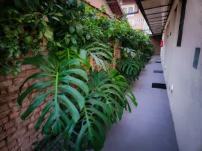 B1| Well-located, private, and modern mini-loft - Image 4