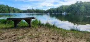 Spacious 4BR House, 3 King Beds, Arcade, By Lake - Image 2