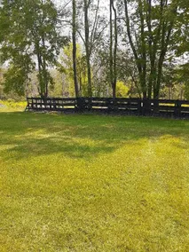 Ayers' Acres ~ Cabin 1, sleeps 6 ~ spacious - Image 2