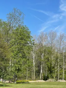 Ayers' Acres ~ Cabin 1, sleeps 6 ~ spacious - Image 3