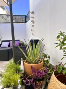 A terrace to fall in love with. Free Parking. Rm Theater - Image 5