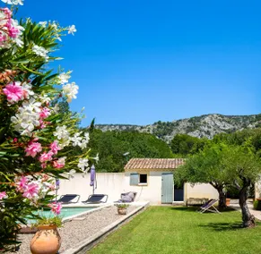 Mazet in the Luberon-Pool/Garden/Air Conditioning - Image 3