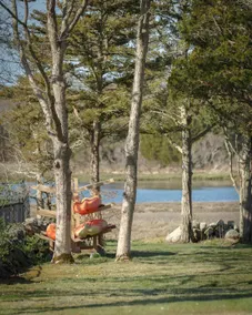 No Egrets Haven-Oceanfront Retreat - Image 5