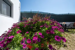 Mar-Jo Holiday Home - Image 5
