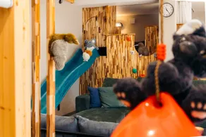 A Whole House Full of Fun | Indoor Slide& Play Gym - Image 5