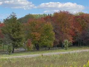 GratitudeView-Don't miss the fall colors this year - Image 2