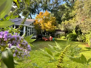 Spacious Home n Garden - Image 4