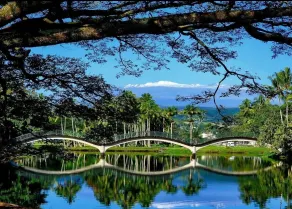 Newly Renovated Hilo Lagoon 2 BD Condo-A/C, Pool - Image 5