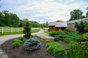 Catch The Dream:; An Immersive Equestrian Escape - Image 5