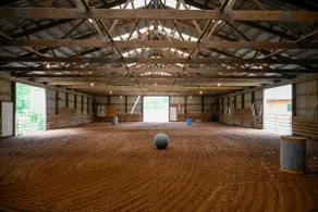 Catch The Dream:; An Immersive Equestrian Escape - Image 4