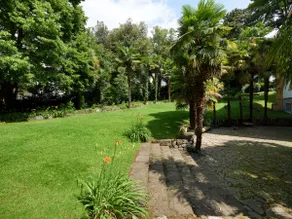 Central Palm Studio with free Parking - Image 5