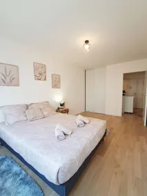 Oiseau Bleu apartment for 6 people, Orly 10 min, balcony, linens - Image 4