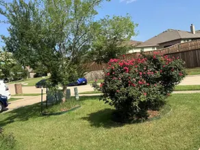 5-Bedroom Retreat w Private Greenbelt & Park Views - Image 3