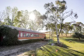 Loco @ Ross Hill Vineyard - Image 2