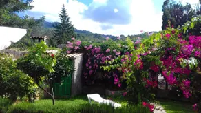 Apartment Bougainvillea - Image 4
