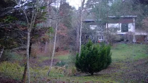 ”The Forest” Fontainebleau - Image 5