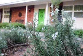 Courtyard Verde-Downtown/Riverwalk Minutes Away - Image 2