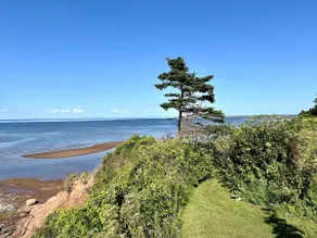 East Coast Ocean Front Beach House - Image 4