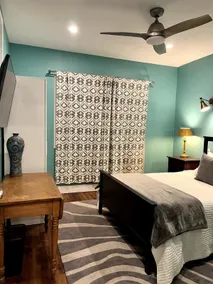 The Darwin: Quiet, Unique Austin MCM Apartment - Image 5