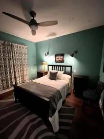 The Darwin: Quiet, Unique Austin MCM Apartment - Image 3
