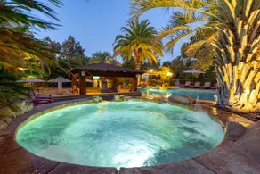 Private Vineyard Resort: slide, waterfalls, cabana - Image 3
