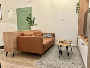 Tost Palace - centrum apartment with private parking - Image 4