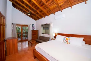 Entire villa with pool 3 min walk to Surf Dominical - Image 2